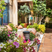 Globales Pionero 4*