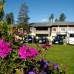 Levi Hotel Spa 4*