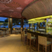 Anantara Kalutara 5*