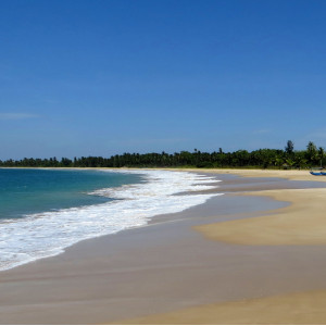 Пассікуда