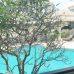 Sea Breeze Jomtien Resort 3*