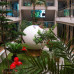 Club Hotel Sunbel 4*