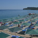 Rox Royal Hotel 5*
