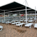 Side Alegria Hotel & Spa 5*