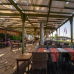 TUI Blue Pasha Bay 4*