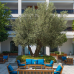 Xanudu Island Hotel 5*
