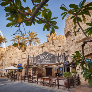 AQUAPARK WILD WADI 