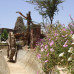 Sharm Inn Amarein 4*