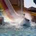 Caribbean World Soma Bay 5*