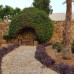 Reef Oasis Beach Resort 5*