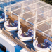 Grecotel Creta Palace 5* Deluxe