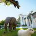 Grecotel Creta Palace 5* Deluxe