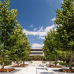 Potidea Palace Hotel 4*