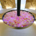 Charme Hotel Alexander 4*