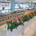 Tahiti Playa & Suites 4*