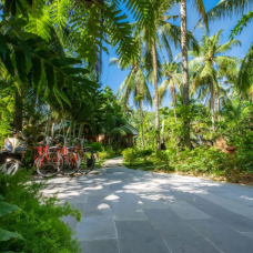 Coco Palm Beach Resort & Spa 3*