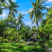 Coco Palm Beach Resort & Spa 3*