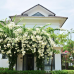 Sunset Sanato Resort & Villas 4*