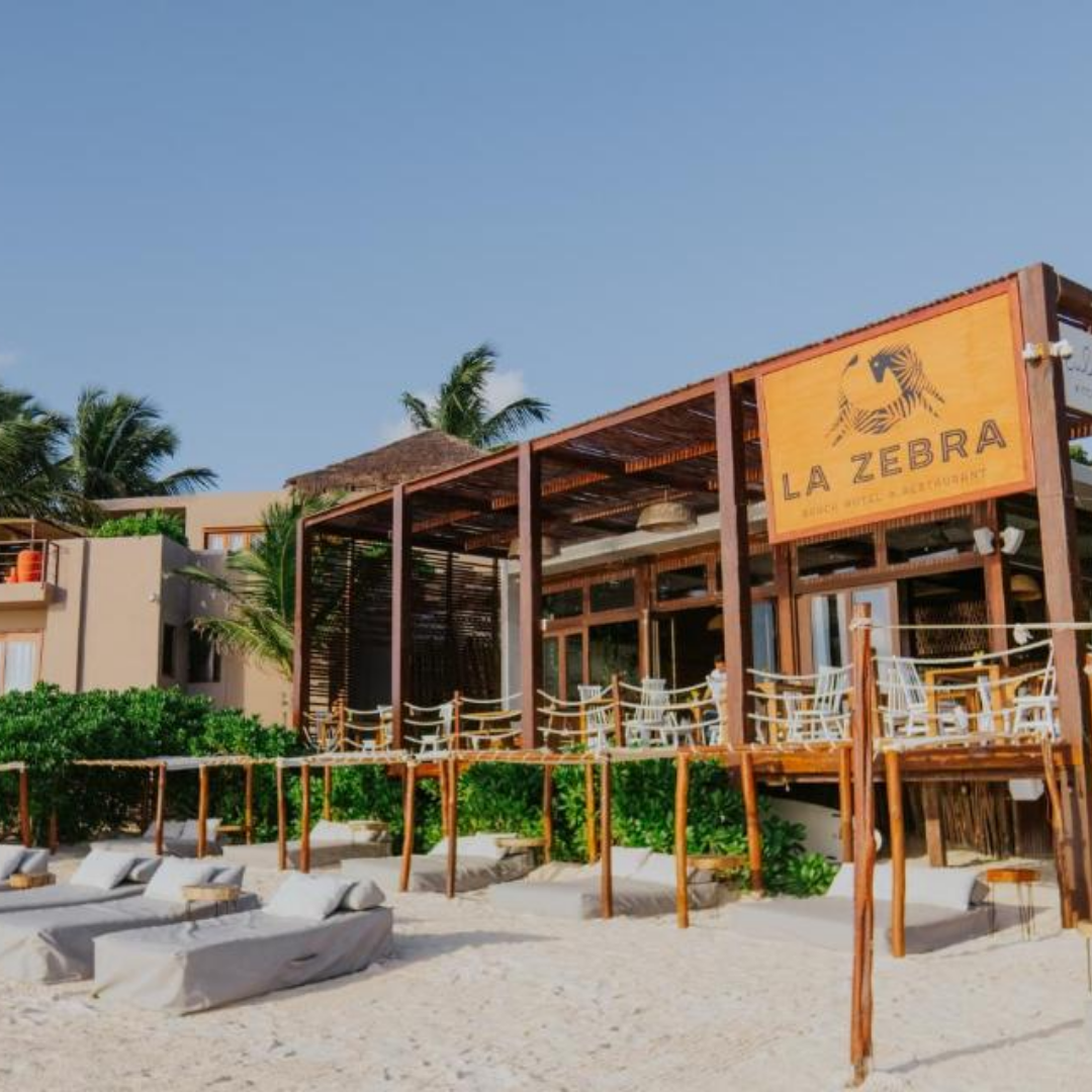Zebra Tulum